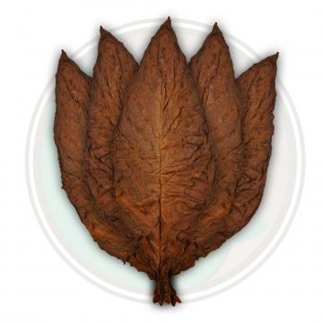 QB Dark Fronto Leaf